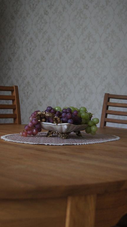 Vienaragio Apartamentai Palanga Kültér fotó